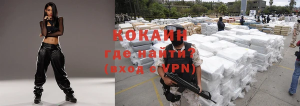 прущая мука Арсеньев