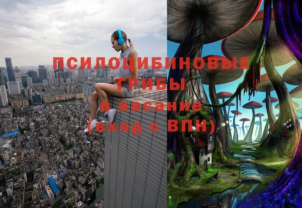 кокс Аркадак