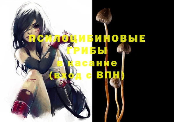 кокс Аркадак