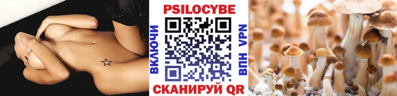 блэк спрут tor Геленджик Галлюциногенные грибы MAGIC MUSHROOMS